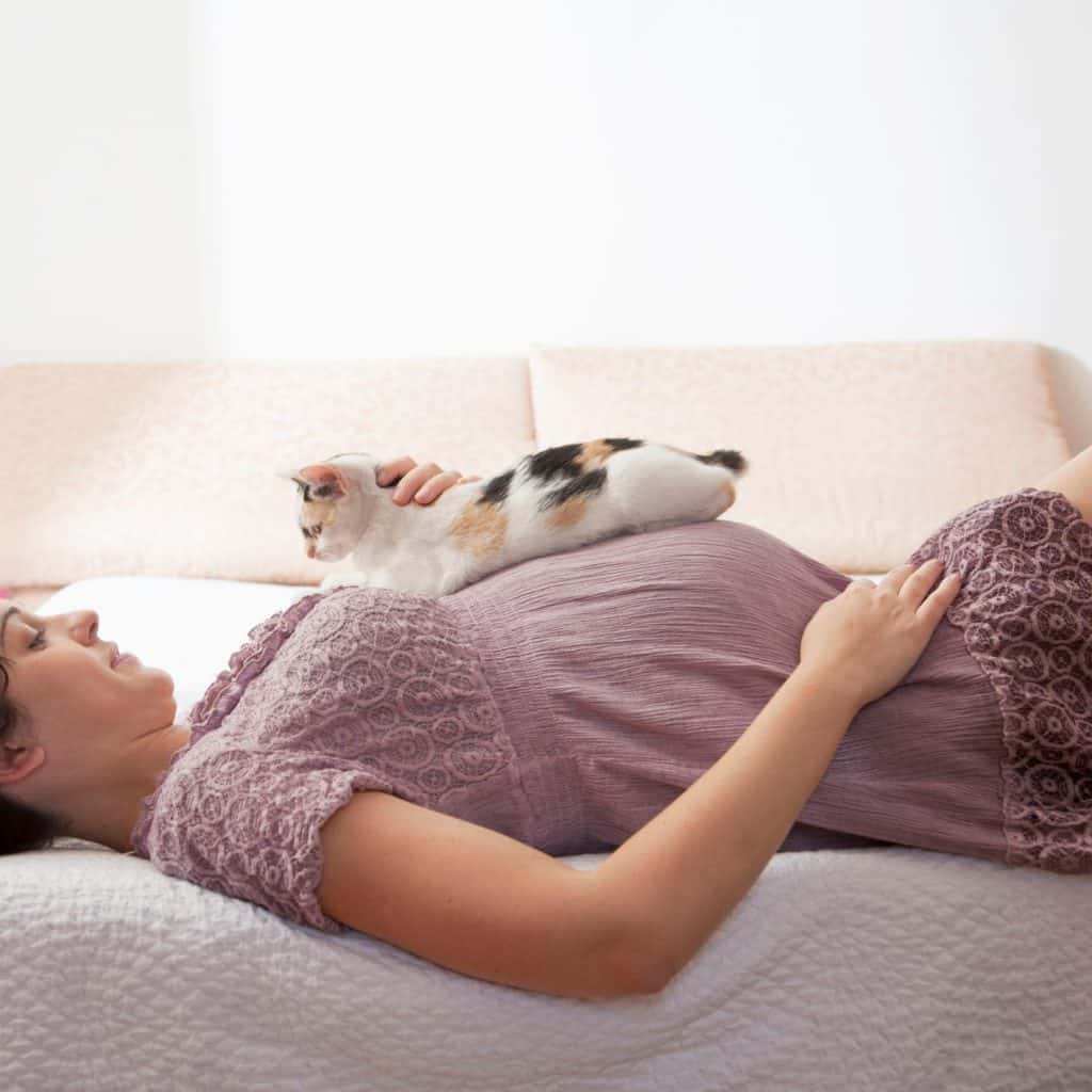 صورة لامرأه مع قطة لكي تبين كيف ينتقل مرض القطط للحامل
