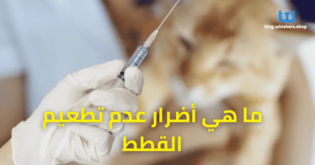 ما هي أضرار عدم تطعيم القطط
