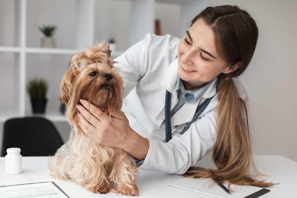 ما هوعلاج الديدان عند الكلاب؟ اذهب به الى الطبيب البيطري لاعطاءه الجرعات المناسبة