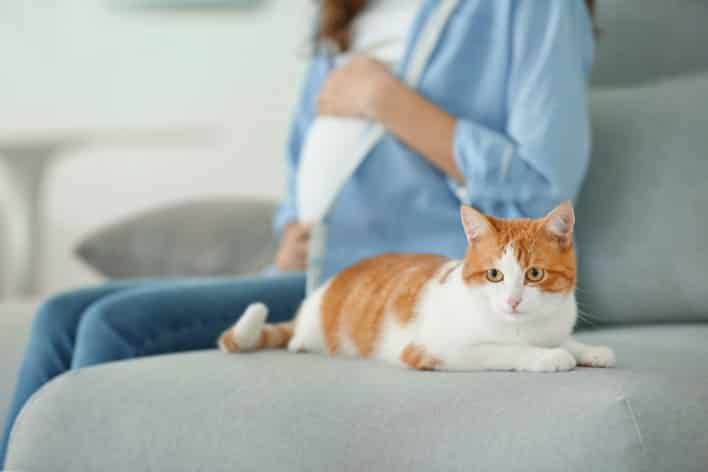 كيف ينتقل مرض القطط للحامل