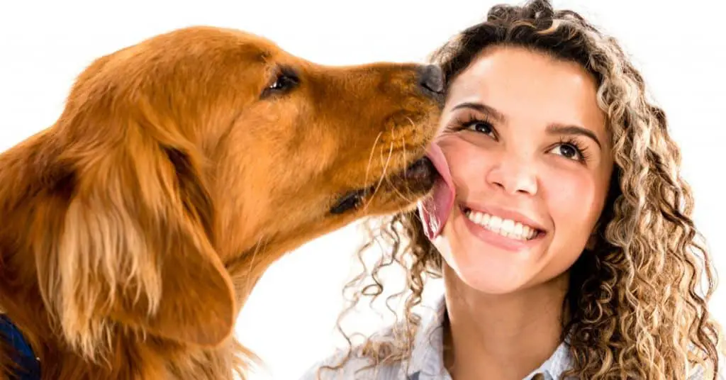 كيف تعرف أن كلبك يحبك2 كيف تعرف أن كلبك يحبك من خلال 8 علامات هامة 5 كيف تعرف أن كلبك يحبك من خلال 8 علامات هامة