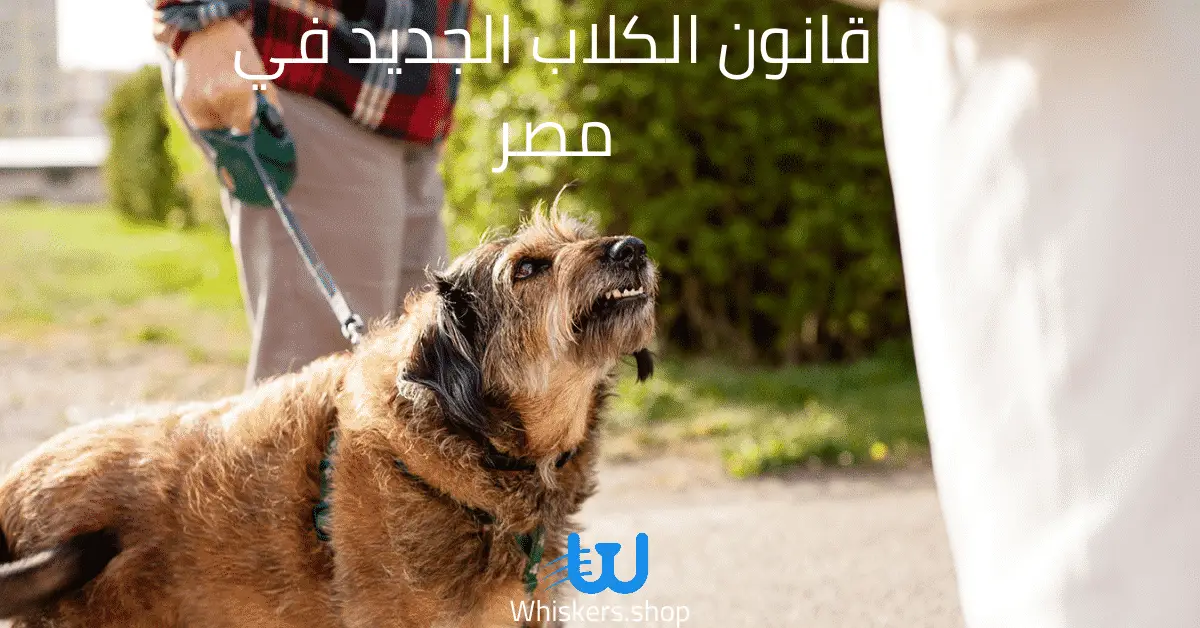 قانون الكلاب الجديد في مصر