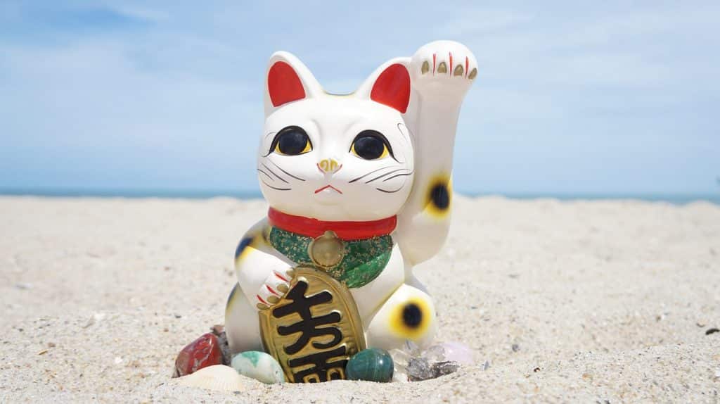 ما السر وراء شعبية القطط في اليابان
