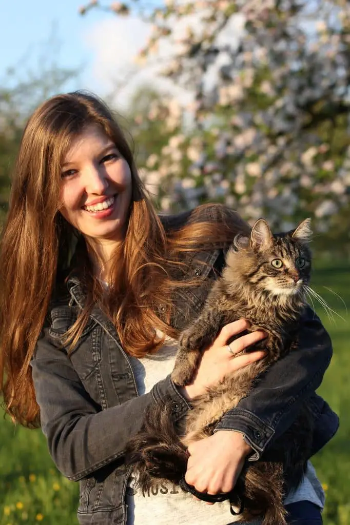 قط و امرأة - أهم الأمراض المشتركة بين الإنسان والقطط