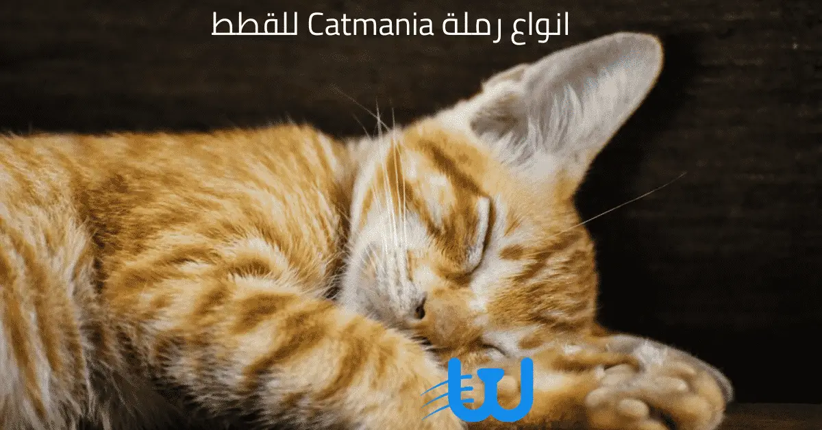 انواع رملة Catmania للقطط
