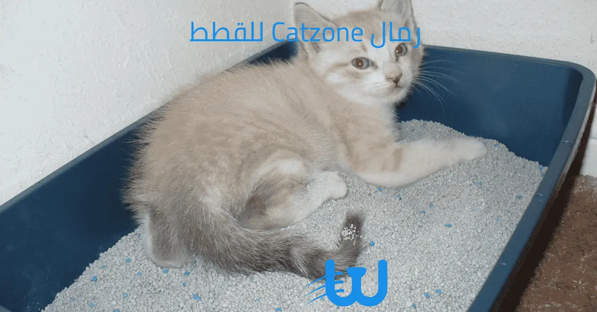 رمال Catzone للقطط