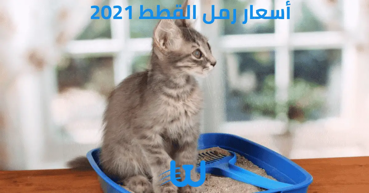 أسعار رمل القطط 2021