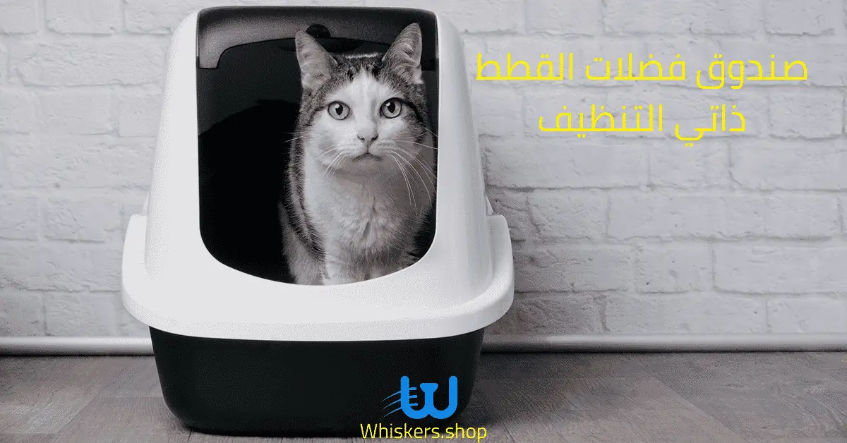 صندوق فضلات القطط ذاتي التنظيف