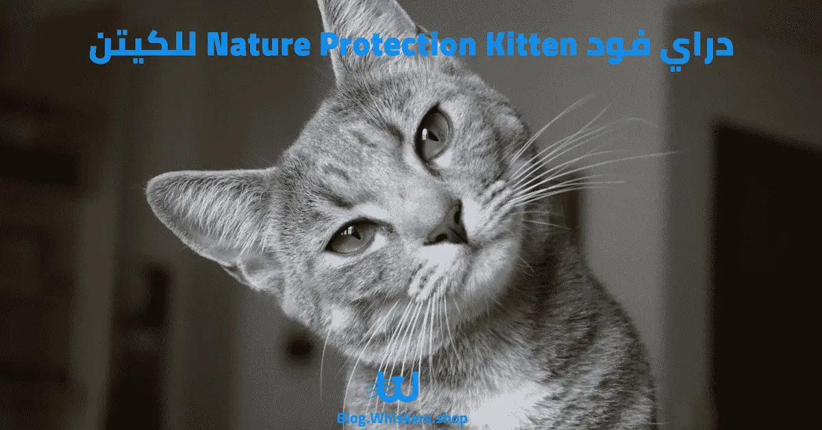 دراي فود Nature Protection Kitten للكيتن