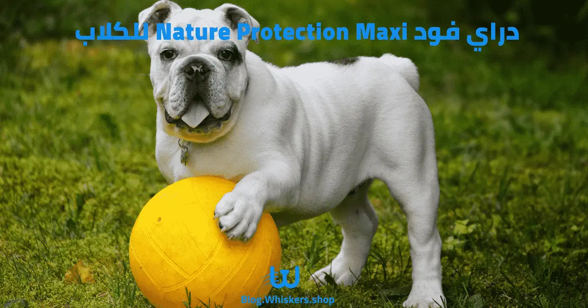 دراي فود Nature Protection Maxi للكلاب