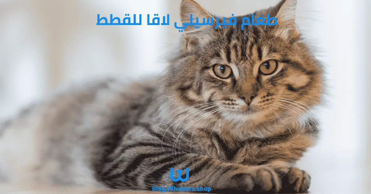 طعام فيرسيلي لاقا للقطط