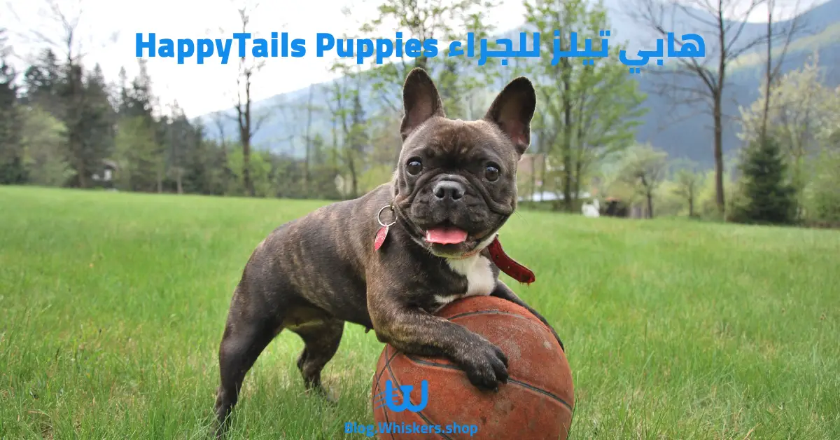 هابي تيلز للجراء HappyTails Puppies