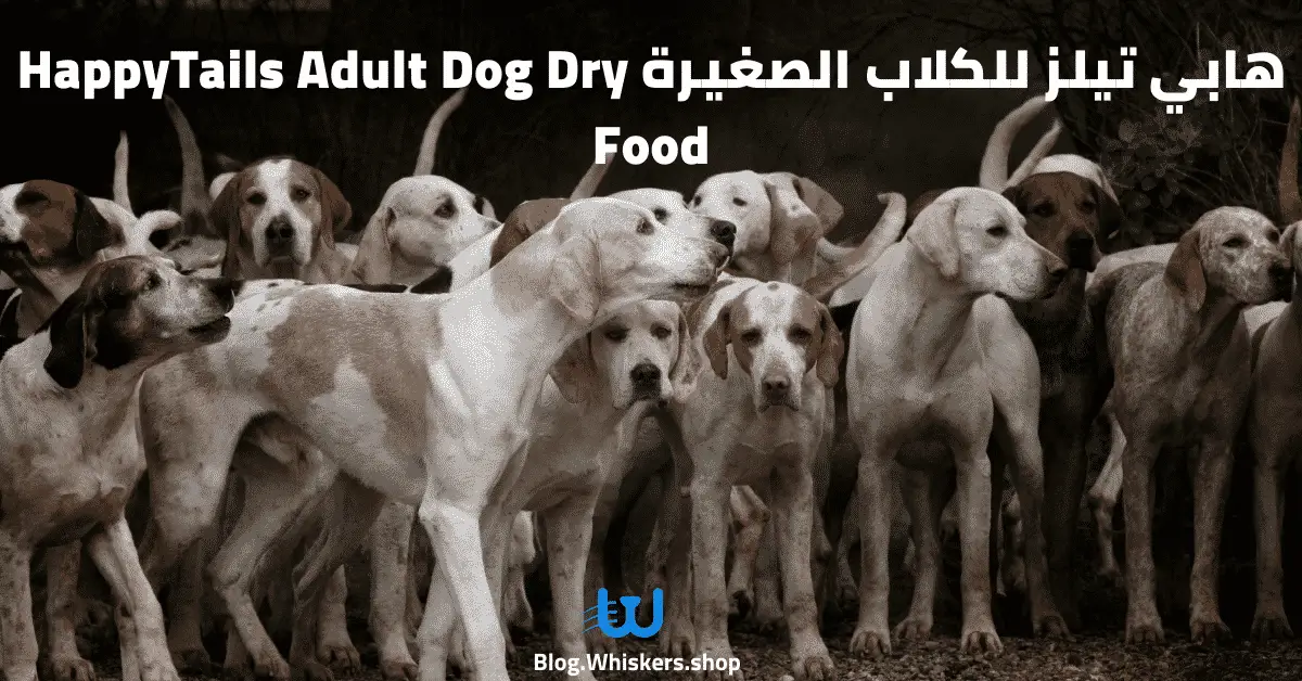 هابي تيلز للكلاب الصغيرة HappyTails Adult Dog Dry Food