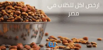 ارخص اكل للكلاب في مصر