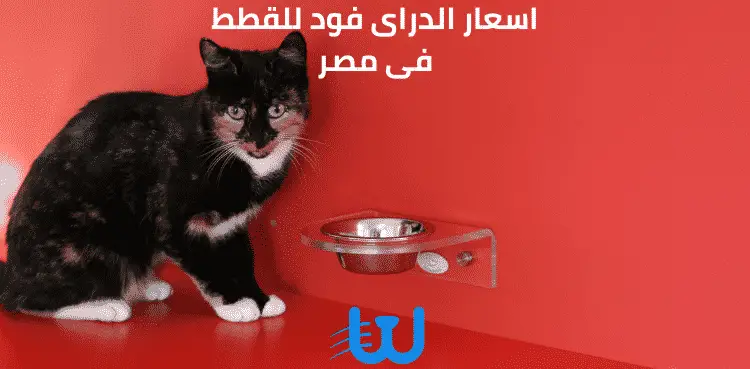 اسعار الدراى فود للقطط فى مصر