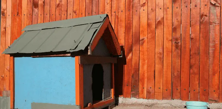 كيفية صنع بيت الكلب بالكرتون