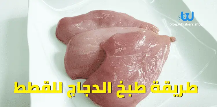 طريقة طبخ الدجاج للقطط