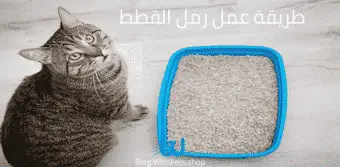 طريقة عمل رمل القطط