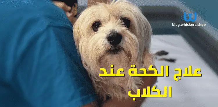 علاج الكحة عند الكلاب