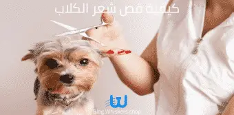 كيفية قص شعر الكلاب