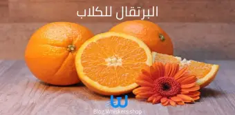 البرتقال للكلاب