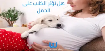 هل تؤثر الكلاب على الحمل