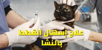 علاج إسهال القطط بالنشا