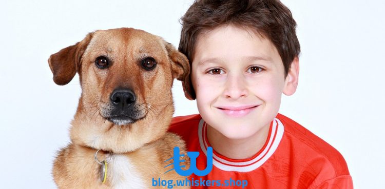3 2 معلومات عن الكلاب للأطفال: أكثر من 20 معلومة مثيرة 4 معلومات عن الكلاب للأطفال: أكثر من 20 معلومة مثيرة