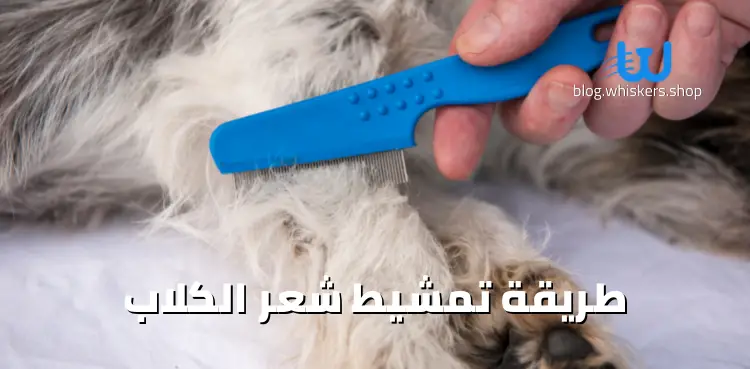 طريقة تمشيط شعر الكلاب