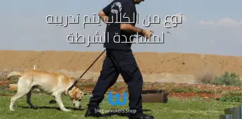 نوع من الكلاب يتم تدريبه لمساعدة الشرطة