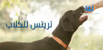 تريتس للكلاب